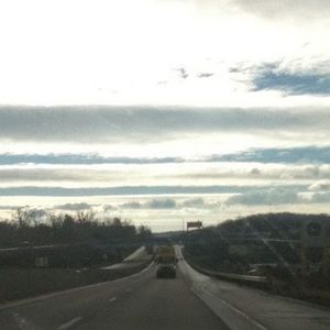 Meet your Posher, Molly